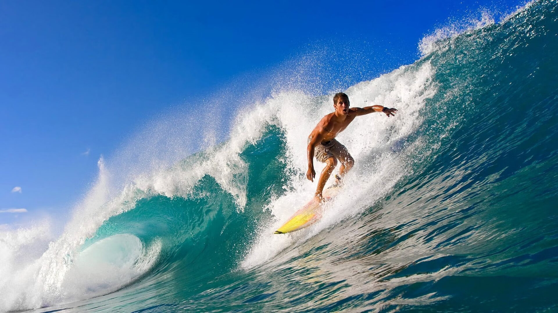 当公牛封锁深圳河畔，从NBA到F1，西亚卡姆的跨界年度争冠启示录