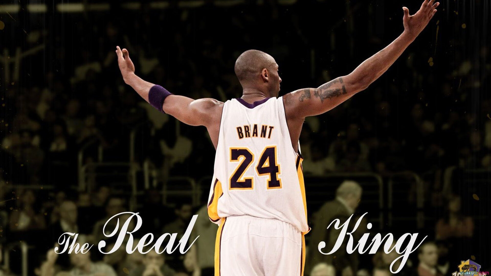 赛道与球场,上海队如何从F1街道赛焦点战中带走掘金