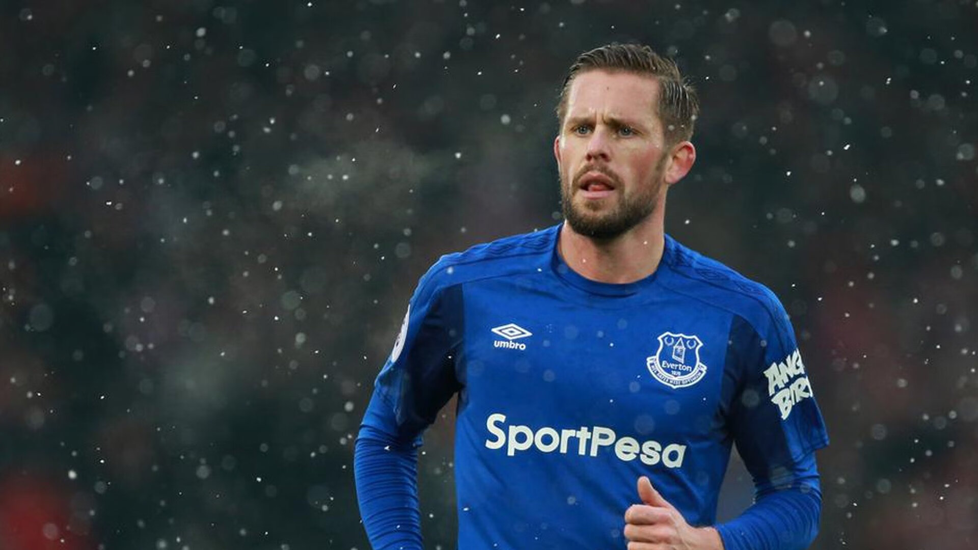 开云平台-绿茵场与乒乓台的双重奏，德国横扫瑞典，樊振东领军奏凯